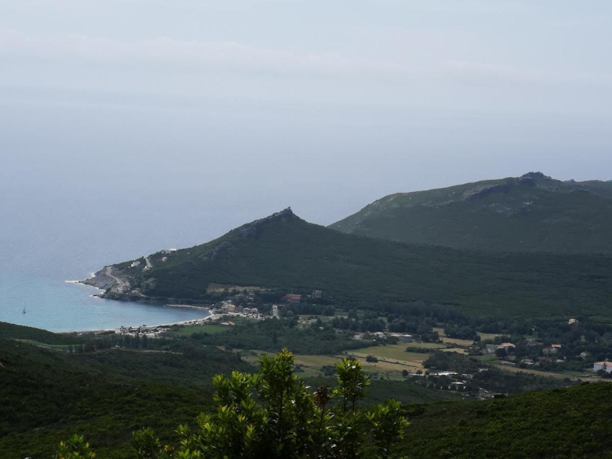 Maison De Village A 2 Km De La Mer Sisco Cap Corse 15 Kms Bastia Экстерьер фото