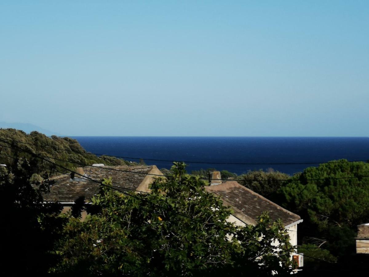 Maison De Village A 2 Km De La Mer Sisco Cap Corse 15 Kms Bastia Экстерьер фото