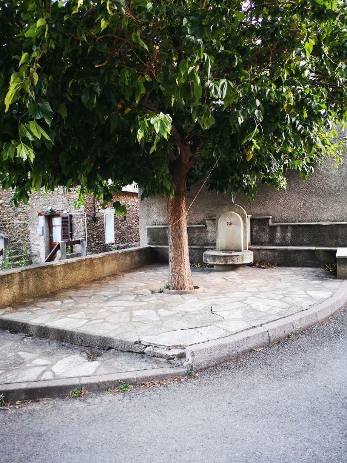 Maison De Village A 2 Km De La Mer Sisco Cap Corse 15 Kms Bastia Экстерьер фото