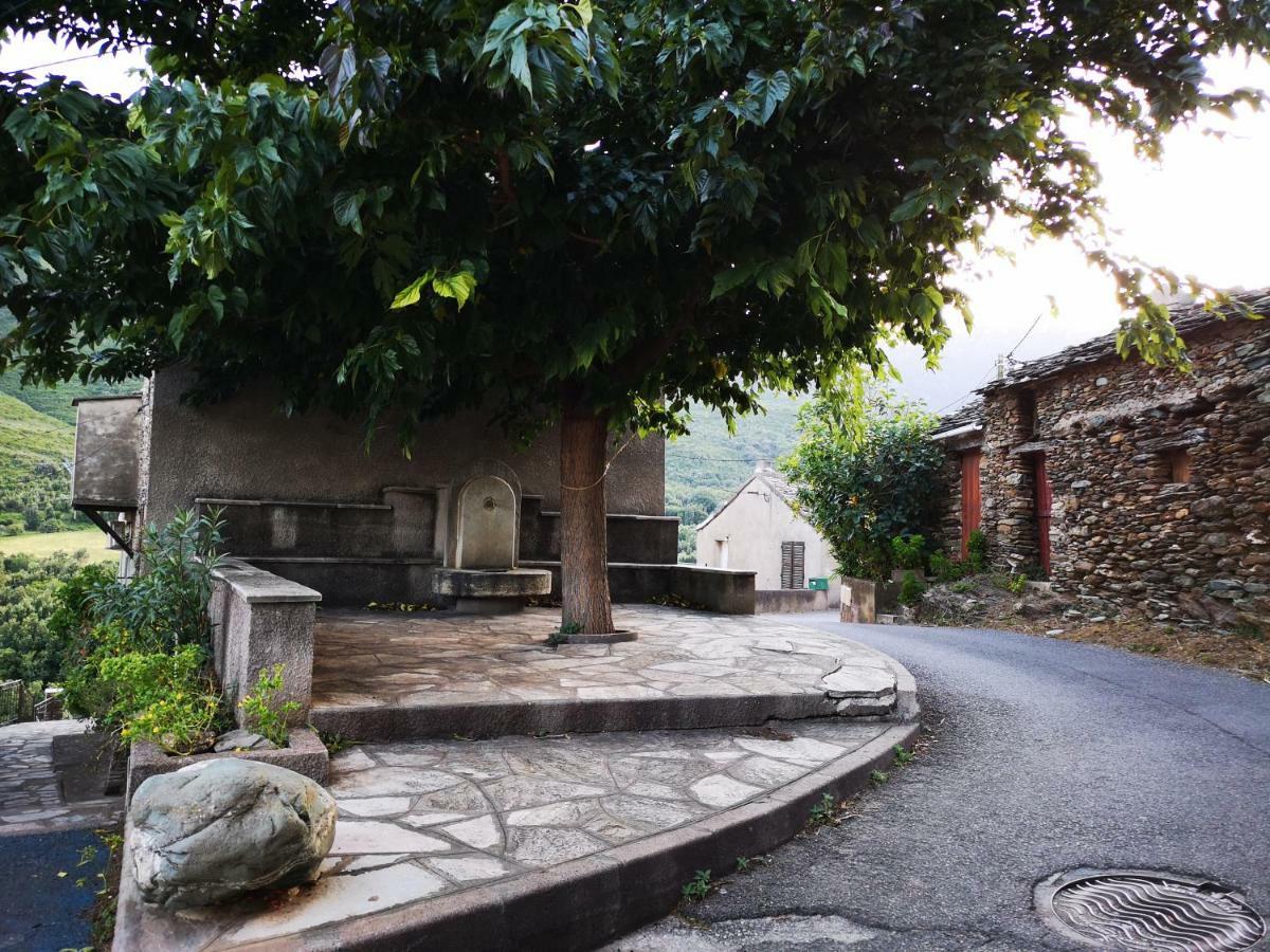 Maison De Village A 2 Km De La Mer Sisco Cap Corse 15 Kms Bastia Экстерьер фото